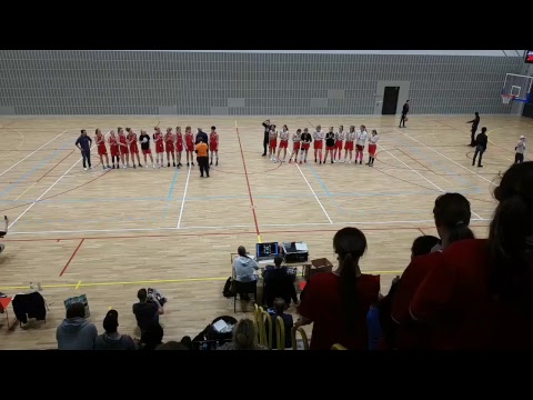 Viby Basket F02-HoNsU