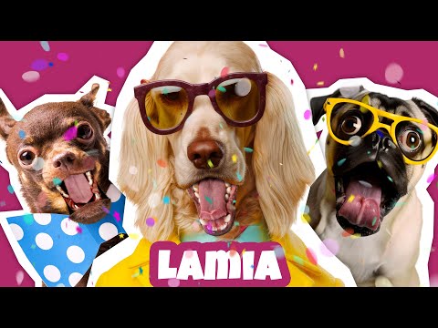 JOYEUX ANNIVERSAIRE LAMIA - Chanson drôle par une meute de chiens déjantés 🎉