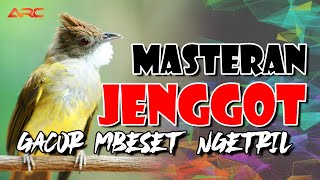 MASTERAN JENGGOT GACOR MBESET NGETRIL SUPER MEWAH