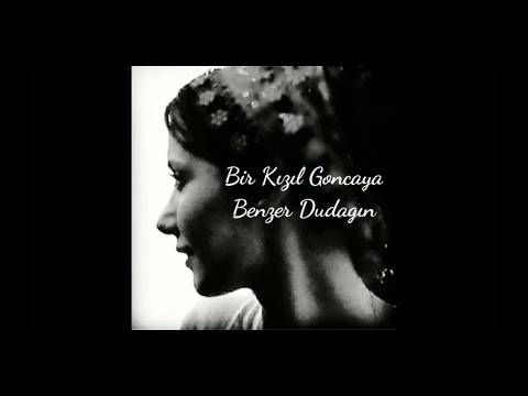 Bir Kızıl Goncaya Benzer Dudağın- Hilal Uzun Yorumu