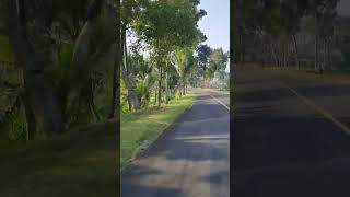 Download lagu nikmati suasana jalan di pedesaan #shorts #short #2023 #shortvideo #shortsfeed #share #subscribe mp3 Download lagu nikmati suasana jalan di pedesaan #shorts #short #2023 #shortvideo #shortsfeed #share #subscribe mp3