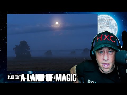 The Veluwe - A Timelapse Film - 4K Reaction!