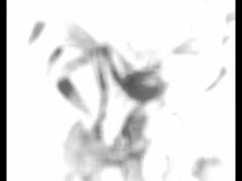 Dj Monster B (Kit da funk vs javi mula remix)