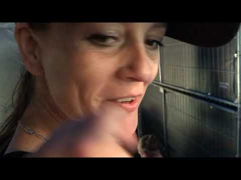 Zo relaxt was Welcome To The Future 2019