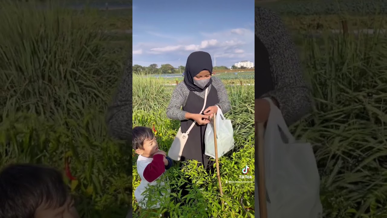 A day in my life | Main ke kebun sayuran indonesia di hamamatsu jepang #kehidupandijepang#tikataki