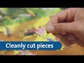 Ravensburger Dėlionė 1500 vnt. - Pavasario vilkai
