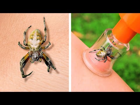 Idee e Trucchi Semplici e Utili per il Campeggio