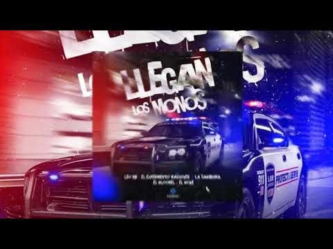 EL EXPERIMENTO X EL BLOONEL X LA SABIDURIA X EL BOKE LLEGAN LOS MONOS (📀DRG HQ AUDIO📀)