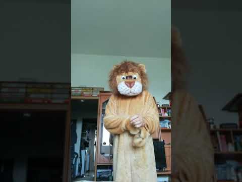 LIO das Maßkottchen des GFV 1990 Großenhain Fußball