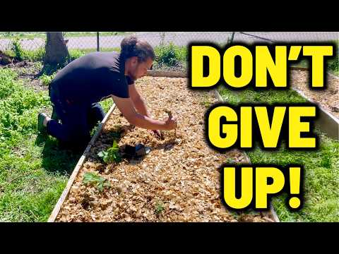 Garden Reset: From Failure to Fresh Start