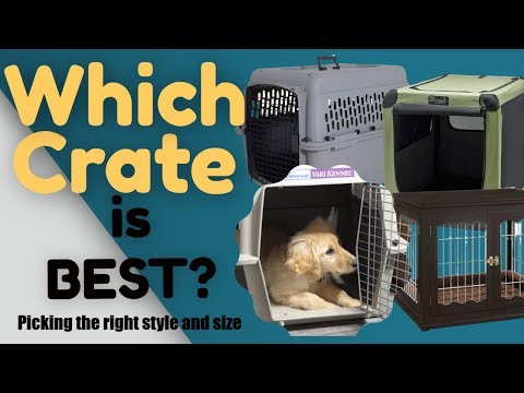 YouTube video about: How much are dog cages at walmart?
