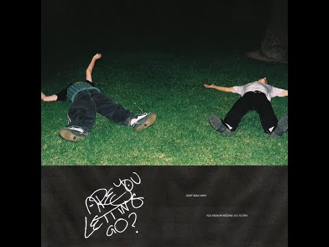 Dreamer Boy - ARE YOU LETTING GO Ft.  BENEE (Lyrics + Vietsub) BENEE Vietnam