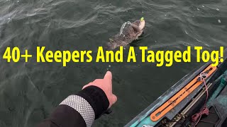 I Have Never Caught This Many Keeper Tautog Ever! With A Bonus Tagged Fish!
