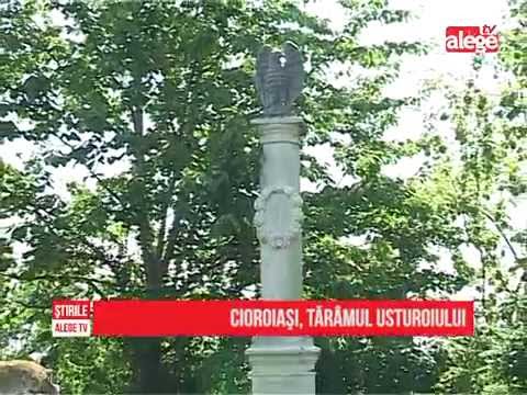 Cioroiaşi, tărâmul usturoiului