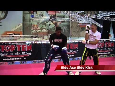 Jamal Albini and Zvonimir Gribl: Attack and Defense Techniques