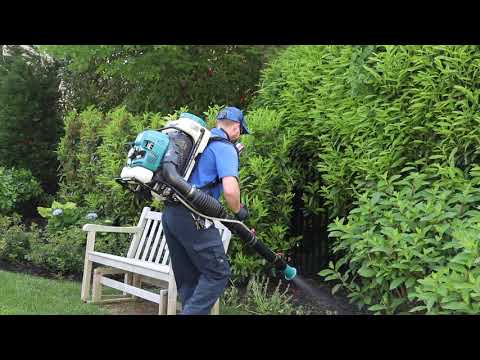 Treating A Property for Ticks in Spring Lake, NJ