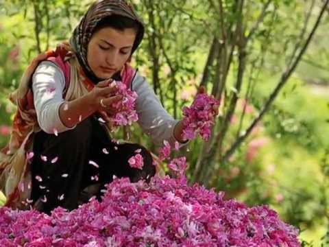 Iranian Gilaki Song- Aha Bogoo