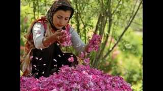 Iranian Gilaki Song- Aha Bogoo