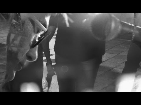 Trashcan Sinatras. All Night (Official Music Video).