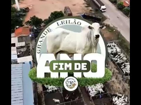 LEILÃO - PIRANHAS GOIAS 07/12/2025