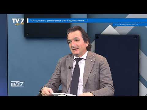 Tv7 con Voi del 28/1/2020 - Problematiche dell'agricoltura (1 di 3)