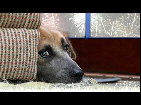 Herbamed Tierarzneimittel