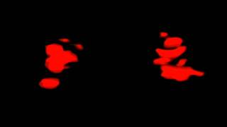 Laibach (Volk) [28]. Nippon (Screen)