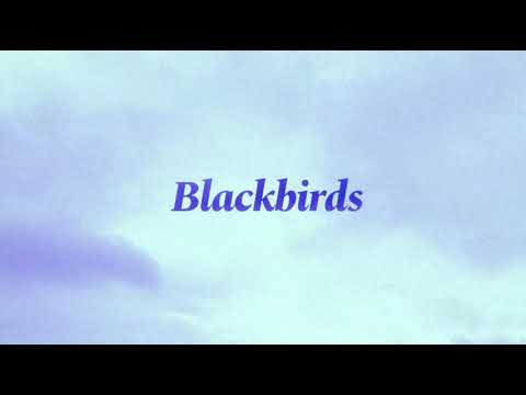 2K RIRI & nowfall - Blackbirds (Official Audio)