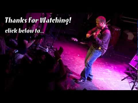 Can't Hug Every Cat (VIOLIN cover)