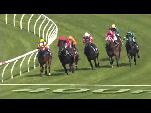 Randwick Race 1 April 9th 2016 - FERNHILL HANDICAP