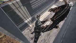 Download lagu Austro and Baryoynx found in hordetest mp3