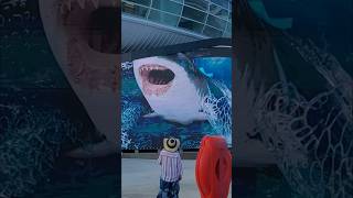Встреча в порту на Багамах #bahamas #cruise #ship #travel #island #shorts #video #vlog #blogger #usa