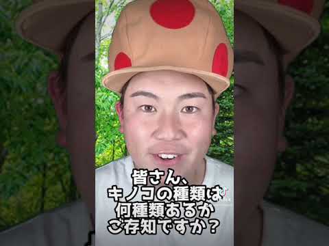 フランスにおける有毒キノコとは何ですか?またその見分け方は?選ぶときはこの7種に注目！  庭園