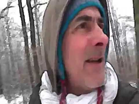 "L 'identité" de Têtes Raides et Noir Désir