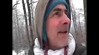 "L 'identité" de Têtes Raides et Noir Désir