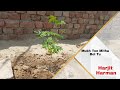 Mukh Ton Mitha Bol Tu Cover Video Hd Harjit Harman