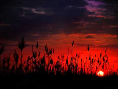 Zhu - Cocaine Model Feat. Dashius Clay (Remix)