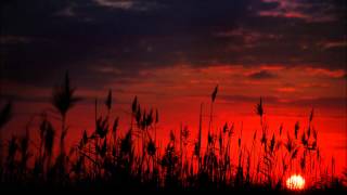 Zhu - Cocaine Model Feat. Dashius Clay (Remix)