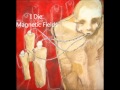I Die  Magnetic Fields
