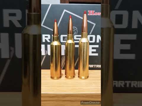 Very Nice Windage Adjustment