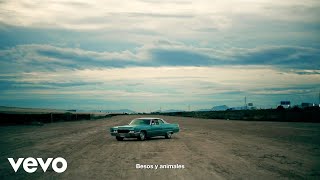 Besos Y Animales Lyrics English Translation