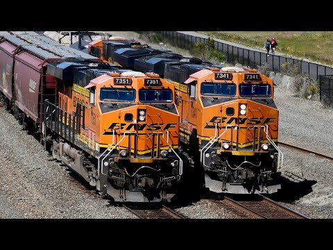 Train Meets and Races 2