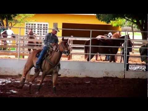 Três Tambores 2011 - Sidnei Pereira - Cherokee Lady ZD - Avaré/sp