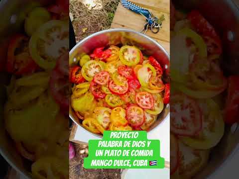 Proyecto Palabra De Dios y Un Plato De Comida En Mango Dulce, Artemisa Cuba 🇨🇺 #AmorAlProjimo