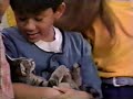 All Week Of Barney S Night Before Christmas Screener All Week Version Part 42