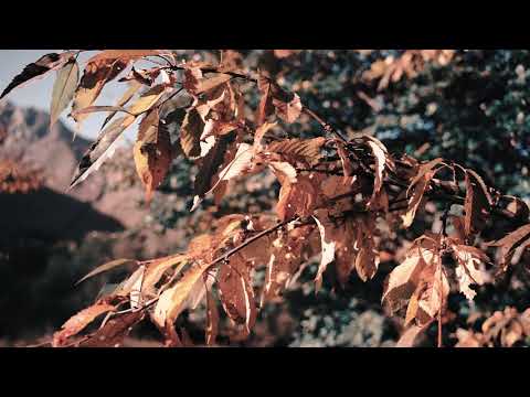 Percorsi Naturalistici