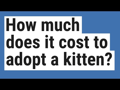 How much does it cost to adopt a kitten?