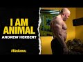 I Am Animal | Andrew Herbert