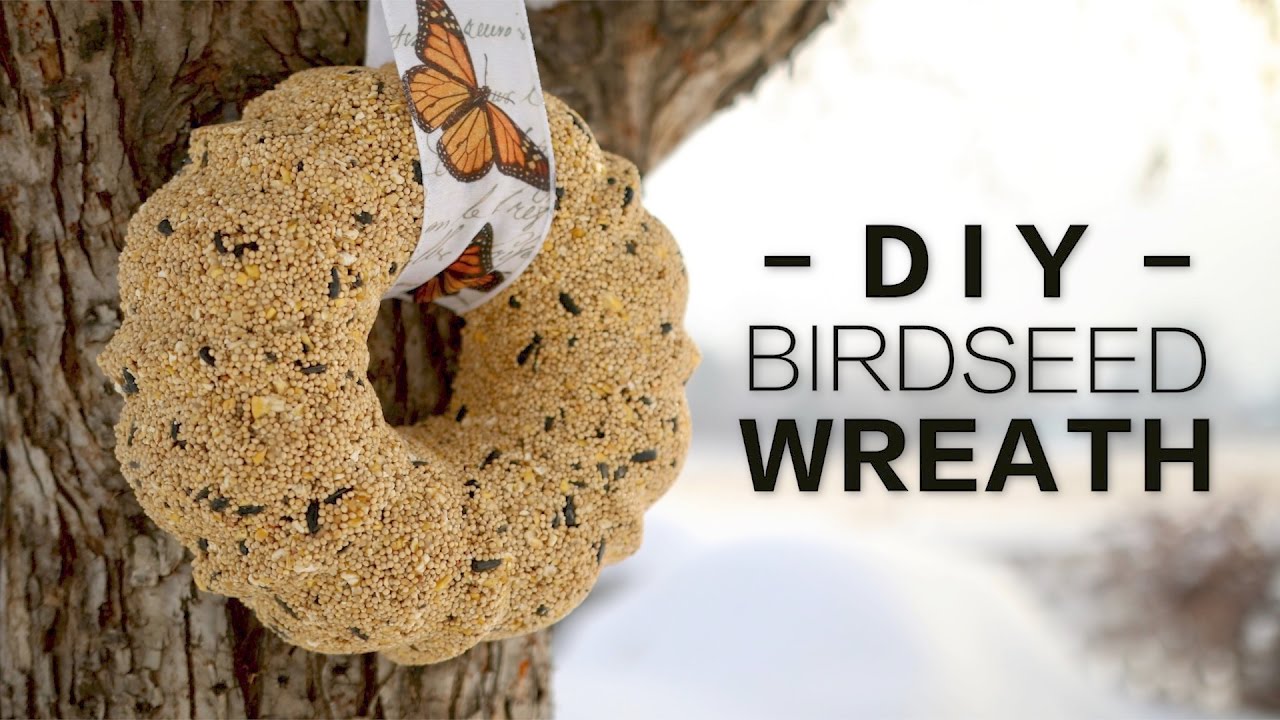 DIY Birdseed Wreath // Garden Answer