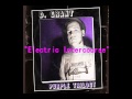 D Grant Electric Intercourse